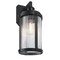 Westinghouse Fixture Wall Outdoor 60W Motion Snsr Armin, Textured Black Clear Ribbed Glass 6120600 - alternate 4